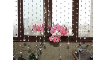 Штора 'Версаль' на окно